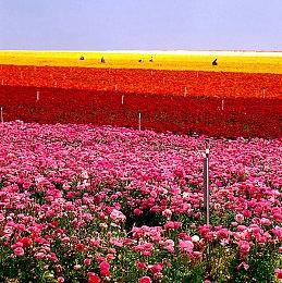 恐怖游戏《小小梦魇》现已登陆了手机平台