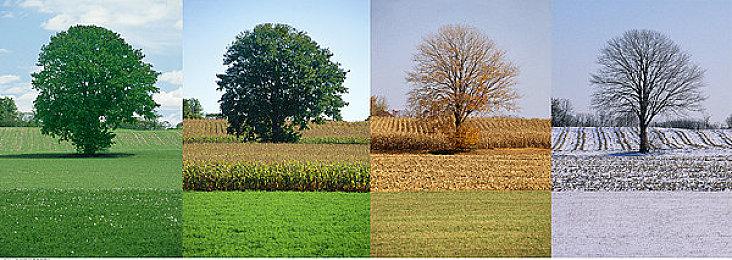 大宇恐怖游戏《女鬼桥：开魂路》现已正式在Steam发售