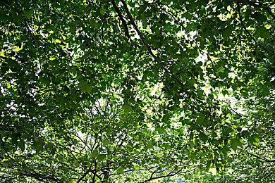 《生化危机4：重制版》补丁修复主机版画面和手柄问题